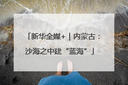 新华全媒+｜内蒙古：沙海之中建“蓝海”