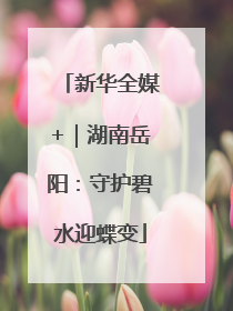 新华全媒+｜湖南岳阳：守护碧水迎蝶变