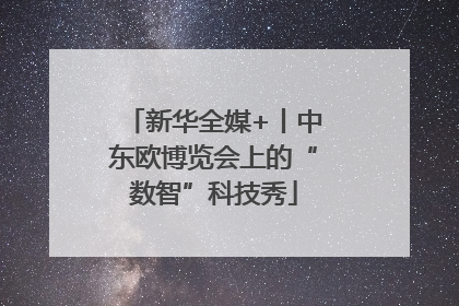 新华全媒+丨中东欧博览会上的“数智”科技秀