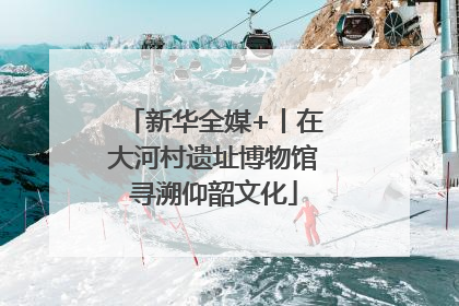 新华全媒+丨在大河村遗址博物馆寻溯仰韶文化