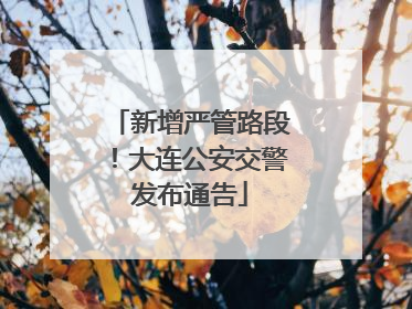 新增严管路段！大连公安交警发布通告