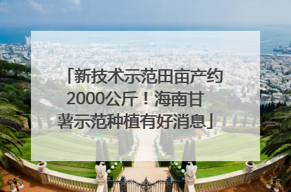 新技术示范田亩产约2000公斤！海南甘薯示范种植有好消息