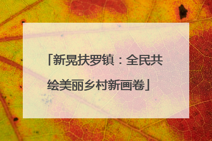 新晃扶罗镇：全民共绘美丽乡村新画卷