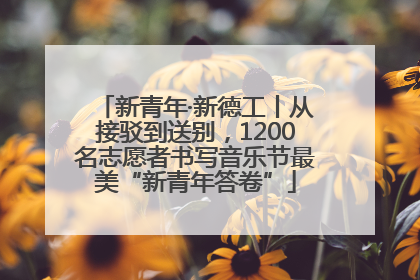 新青年·新德工丨从接驳到送别，1200名志愿者书写音乐节最美“新青年答卷”