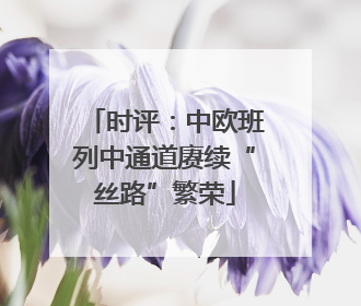 时评：中欧班列中通道赓续“丝路”繁荣