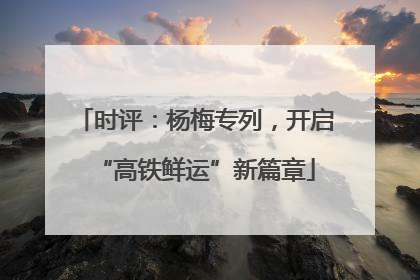 时评：杨梅专列，开启“高铁鲜运”新篇章