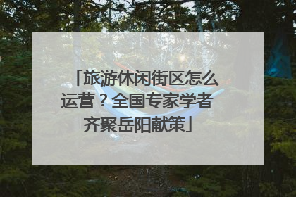 旅游休闲街区怎么运营？全国专家学者齐聚岳阳献策