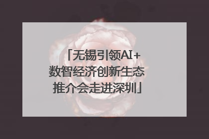 无锡引领AI+数智经济创新生态推介会走进深圳