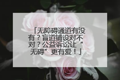 无障碍通道有没有？盲道铺设对不对？公益诉讼让“无碍”更有爱！
