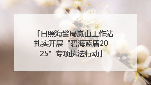 日照海警局岚山工作站扎实开展“碧海蓝盾2025”专项执法行动