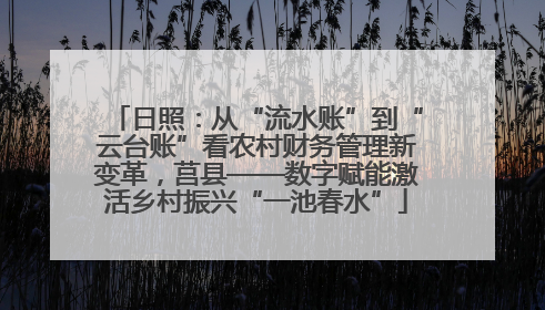 日照：从“流水账”到“云台账”看农村财务管理新变革，莒县——数字赋能激活乡村振兴“一池春水”