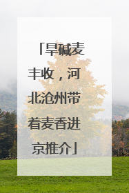 旱碱麦丰收，河北沧州带着麦香进京推介