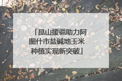 昆山援疆助力阿图什市盐碱地玉米种植实现新突破