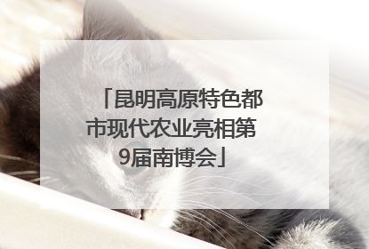 昆明高原特色都市现代农业亮相第9届南博会