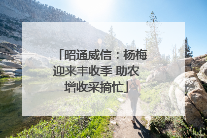 昭通威信：杨梅迎来丰收季 助农增收采摘忙