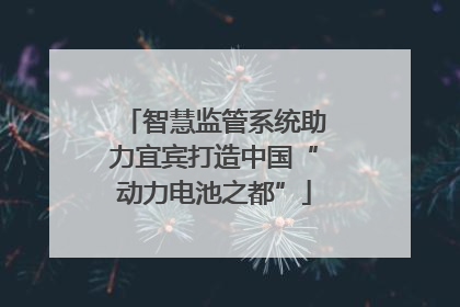 智慧监管系统助力宜宾打造中国“动力电池之都”
