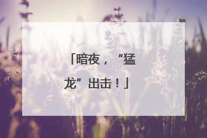 暗夜，“猛龙”出击！