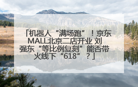 机器人“满场跑”！京东MALL北京二店开业 刘强东“等比例复刻”能否带火线下“618”？