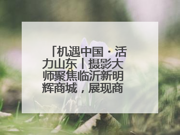 机遇中国・活力山东丨摄影大师聚焦临沂新明辉商城，展现商贸物流新风貌