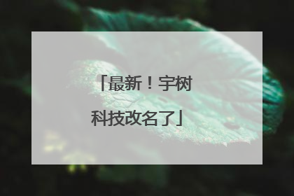 最新！宇树科技改名了