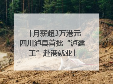 月薪超3万港元 四川泸县首批“泸建工”赴港就业