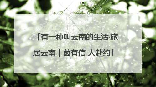 有一种叫云南的生活·旅居云南｜菌有信 人赴约