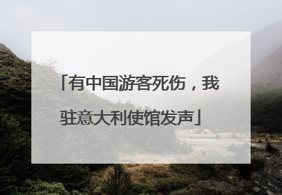 有中国游客死伤，我驻意大利使馆发声