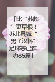 比“苏超”更草根！苏北县城“男子汉杯”足球赛已连办35届