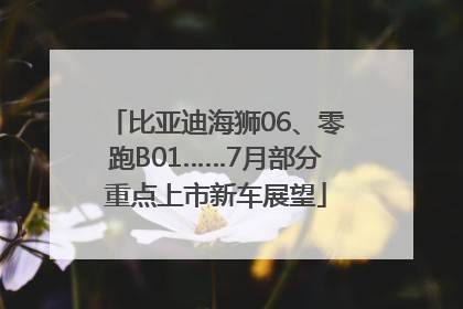 比亚迪海狮06、零跑B01……7月部分重点上市新车展望