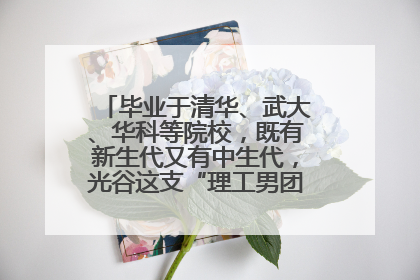 毕业于清华、武大、华科等院校，既有新生代又有中生代，光谷这支“理工男团”为何“出道”？