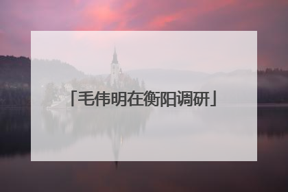 毛伟明在衡阳调研