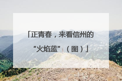 正青春，来看信州的“火焰蓝”（图）