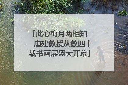 此心梅月两相知——唐建教授从教四十载书画展盛大开幕