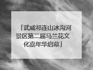 武威祁连山冰沟河景区第二届马兰花文化嘉年华启幕