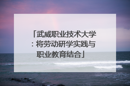 武威职业技术大学：将劳动研学实践与职业教育结合