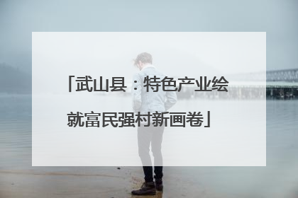 武山县：特色产业绘就富民强村新画卷
