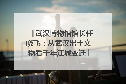 武汉博物馆馆长任晓飞：从武汉出土文物看千年江城变迁