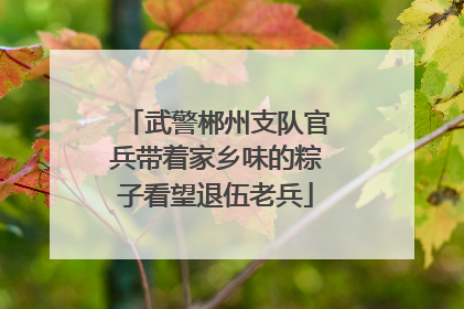 武警郴州支队官兵带着家乡味的粽子看望退伍老兵