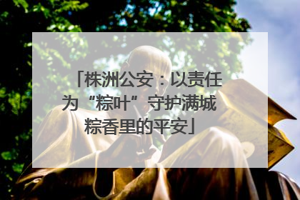 株洲公安：以责任为“粽叶”守护满城粽香里的平安