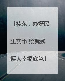 桂东：办好民生实事 绘就残疾人幸福底色
