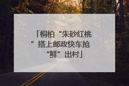 桐柏“朱砂红桃”搭上邮政快车抢“鲜”出村