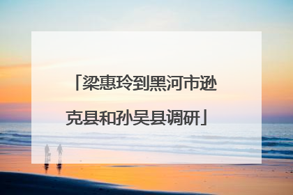 梁惠玲到黑河市逊克县和孙吴县调研