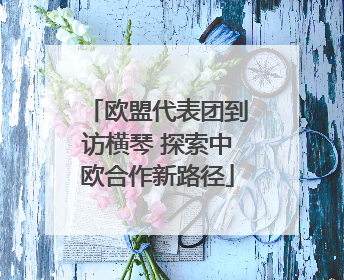 欧盟代表团到访横琴 探索中欧合作新路径