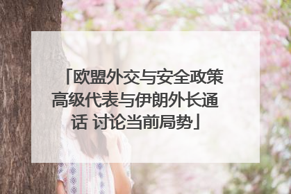 欧盟外交与安全政策高级代表与伊朗外长通话 讨论当前局势