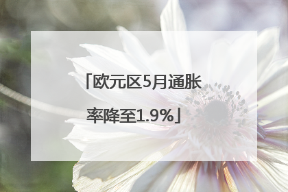 欧元区5月通胀率降至1.9%