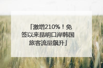 激增210%！免签以来昆明口岸韩国旅客流量飙升