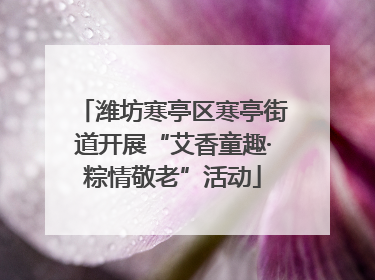 潍坊寒亭区寒亭街道开展“艾香童趣·粽情敬老”活动
