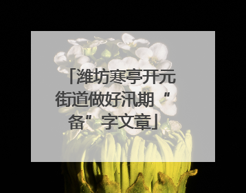 潍坊寒亭开元街道做好汛期“备”字文章