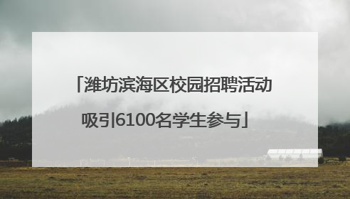 潍坊滨海区校园招聘活动吸引6100名学生参与