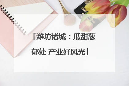潍坊诸城：瓜甜葱郁处 产业好风光